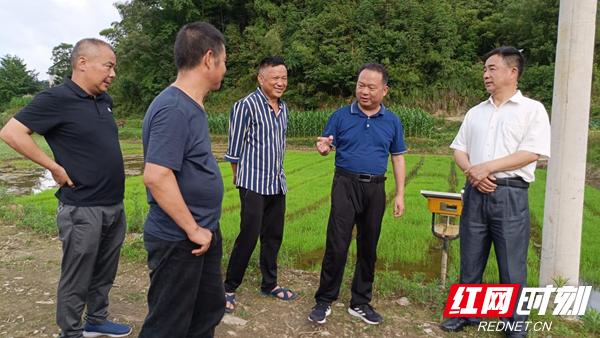 零溪镇未来繁荣规划揭秘，塑造发展新蓝图