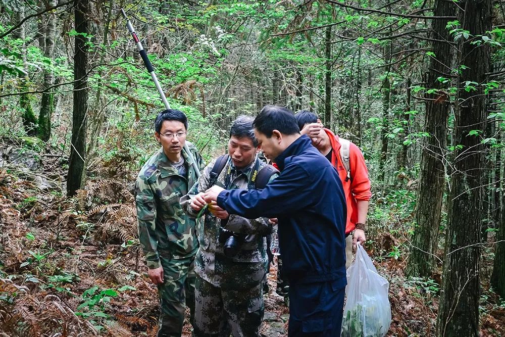 岭下溪国有防护林场人事任命动态解读