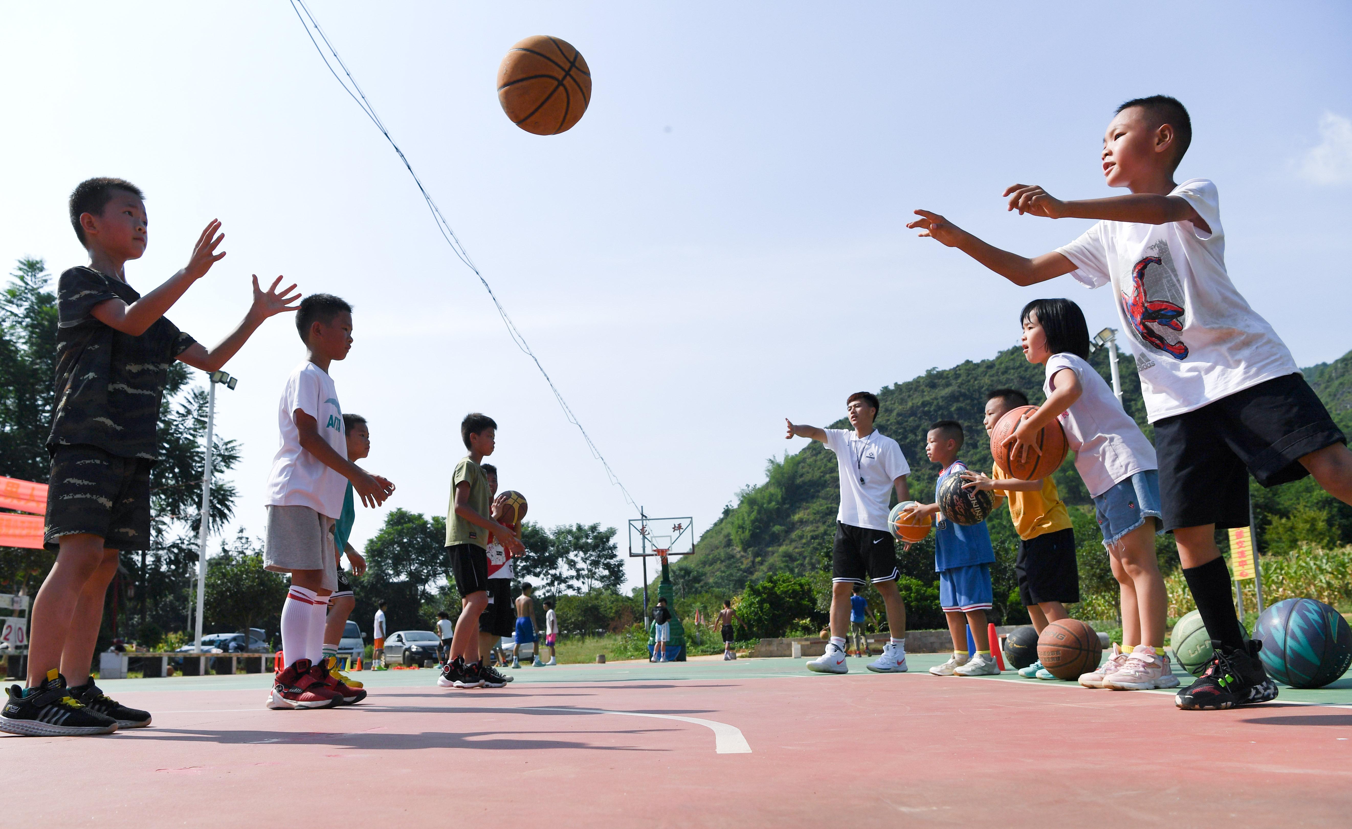 平乐县体育局最新招聘信息详解