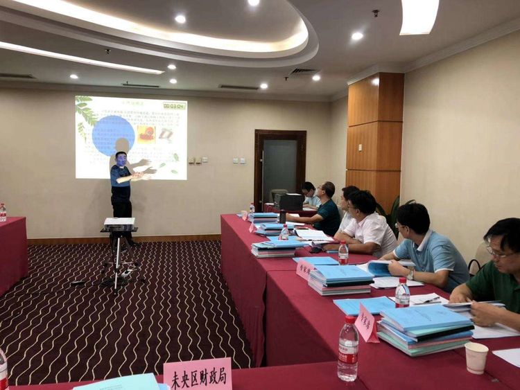 吉首市科学技术和工业信息化局最新项目概览与动态分析