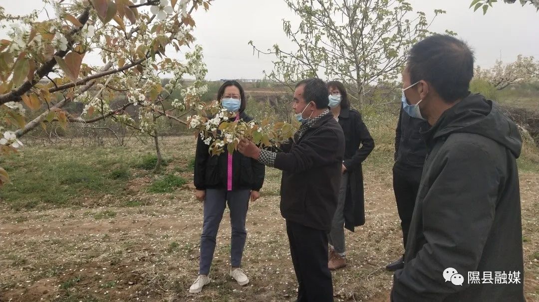 隰县殡葬事业单位人事任命动态解读