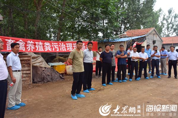 胡集村委会交通新闻更新，乡村道路升级改造与交通规划最新动态