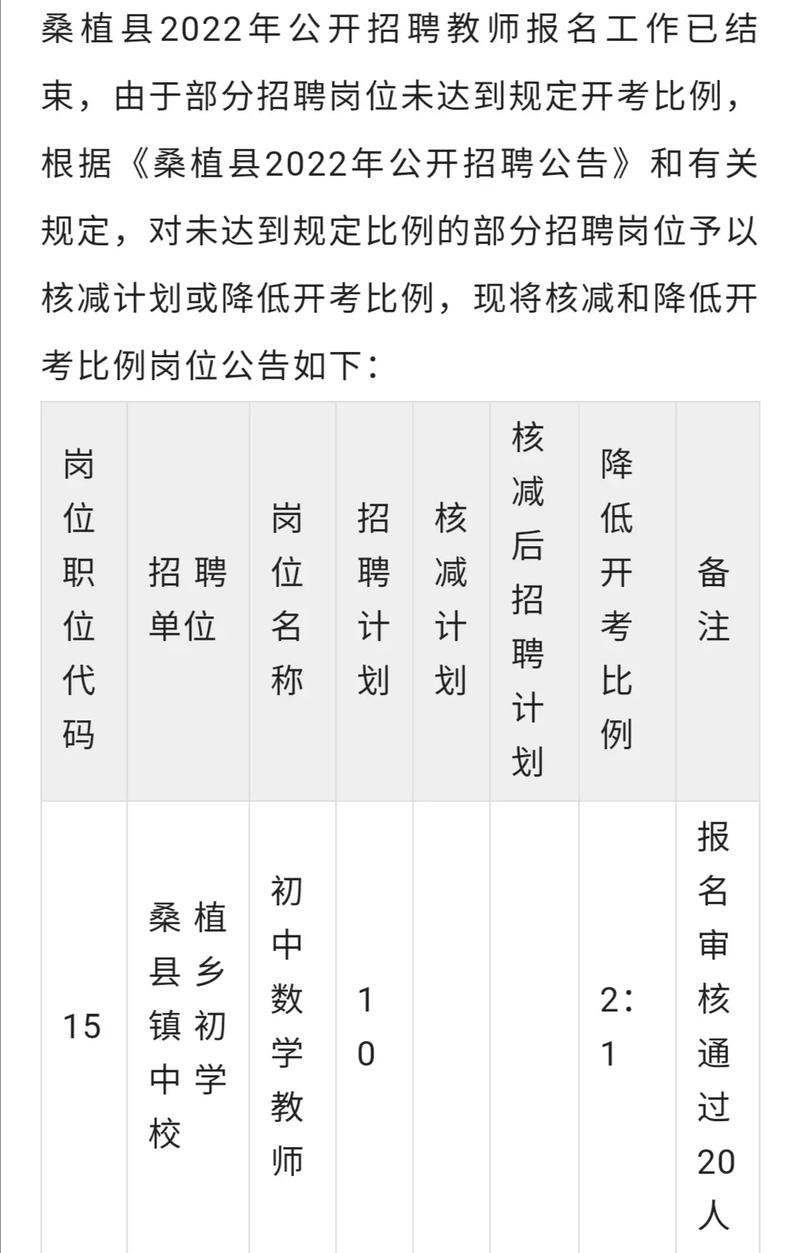 桑植县自然资源和规划局最新招聘公告解析