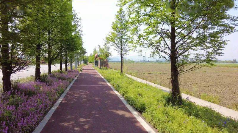 调兵山市应急管理局发展规划纲要概览
