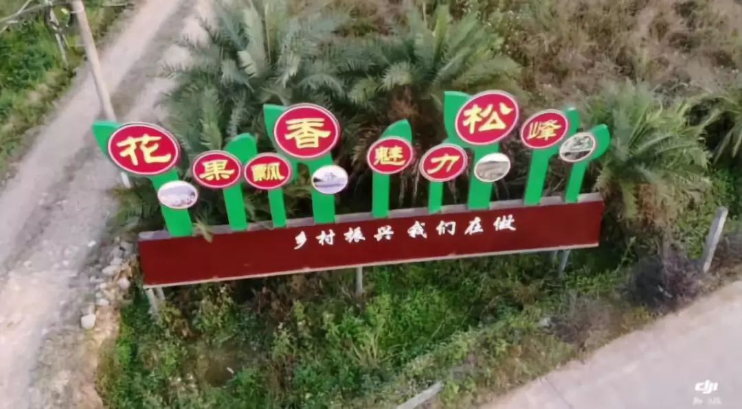 奎洋镇新项目，引领地方发展的强大动力引擎