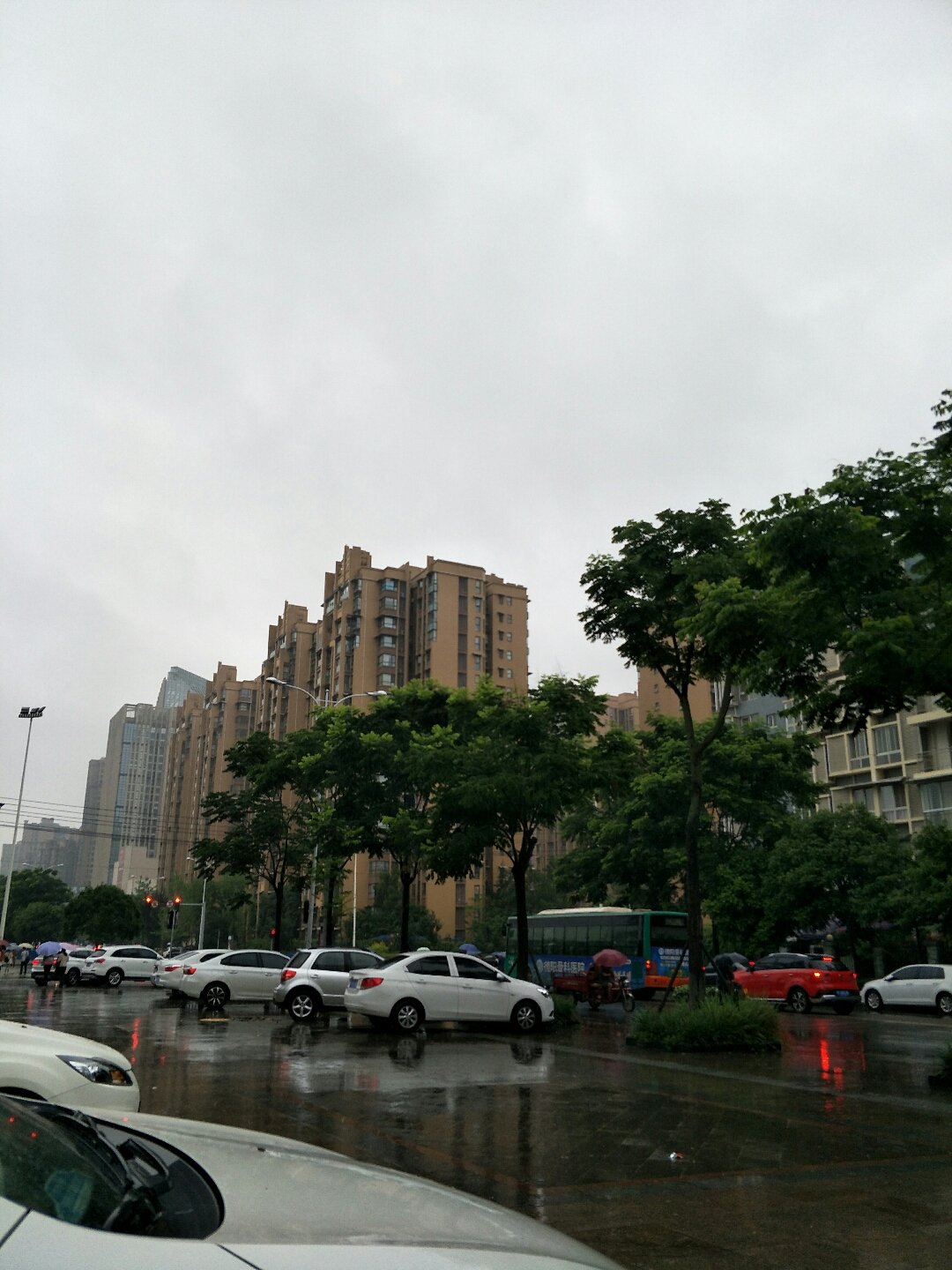 双桂社区天气预报更新通知