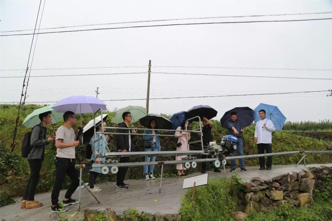 泰顺县公路运输管理事业单位最新项目概览与进展