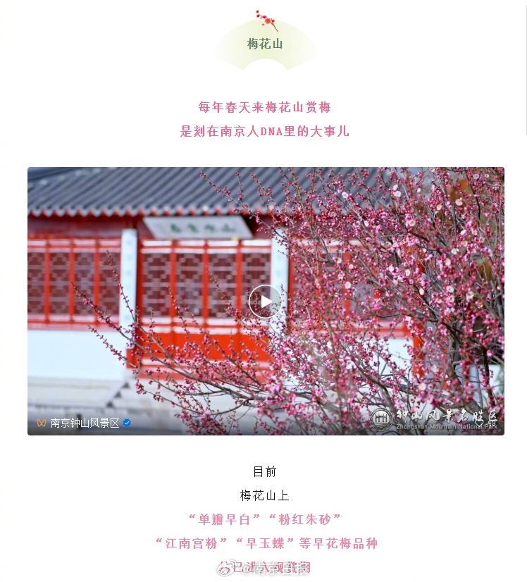 梅花社区村重塑乡村魅力，引领未来发展新篇章