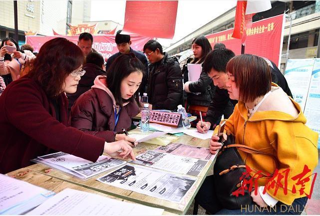 新邵县人民政府办公室招聘启事概览