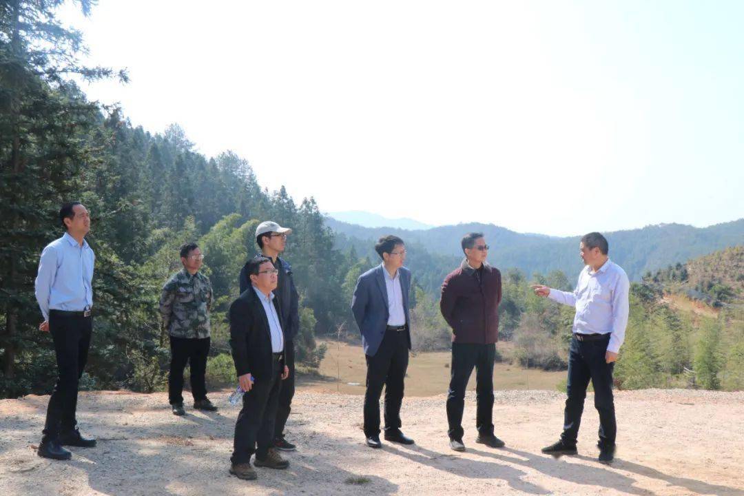 一、探秘白四林场最新项目启动，揭开神秘面纱
