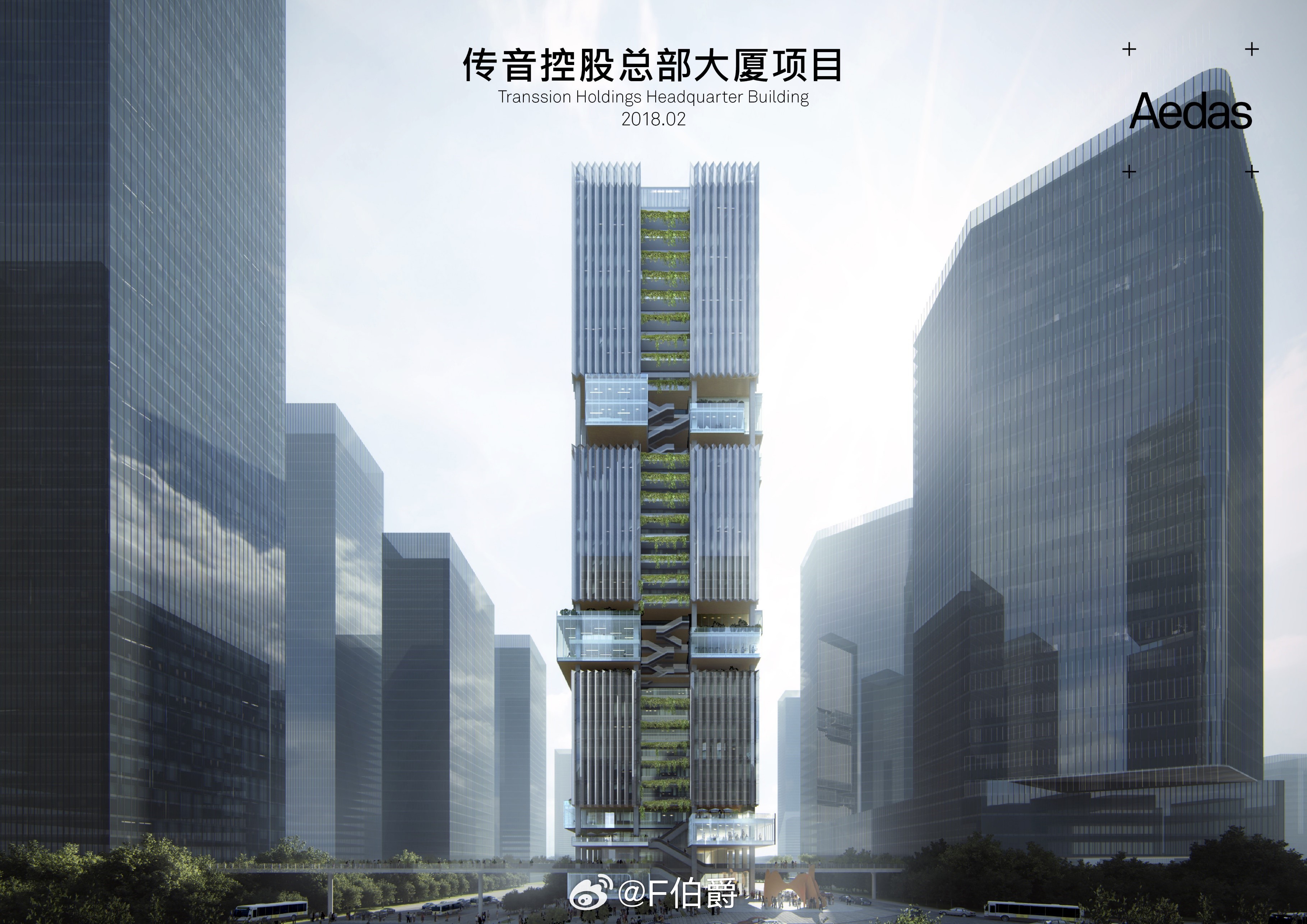 深圳大厦最新动态概览