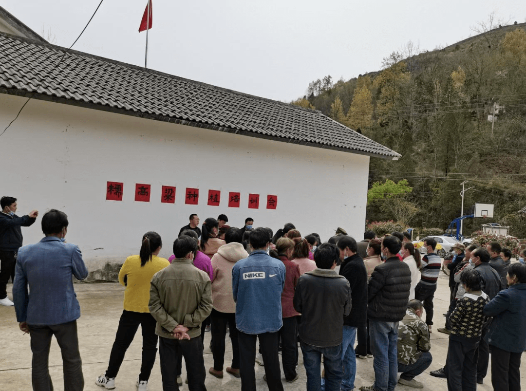 剪子坪村委会最新动态报道
