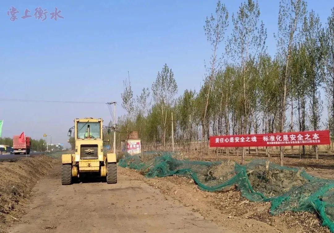 武强县住房和城乡建设局领导团队全新亮相，未来工作展望揭秘