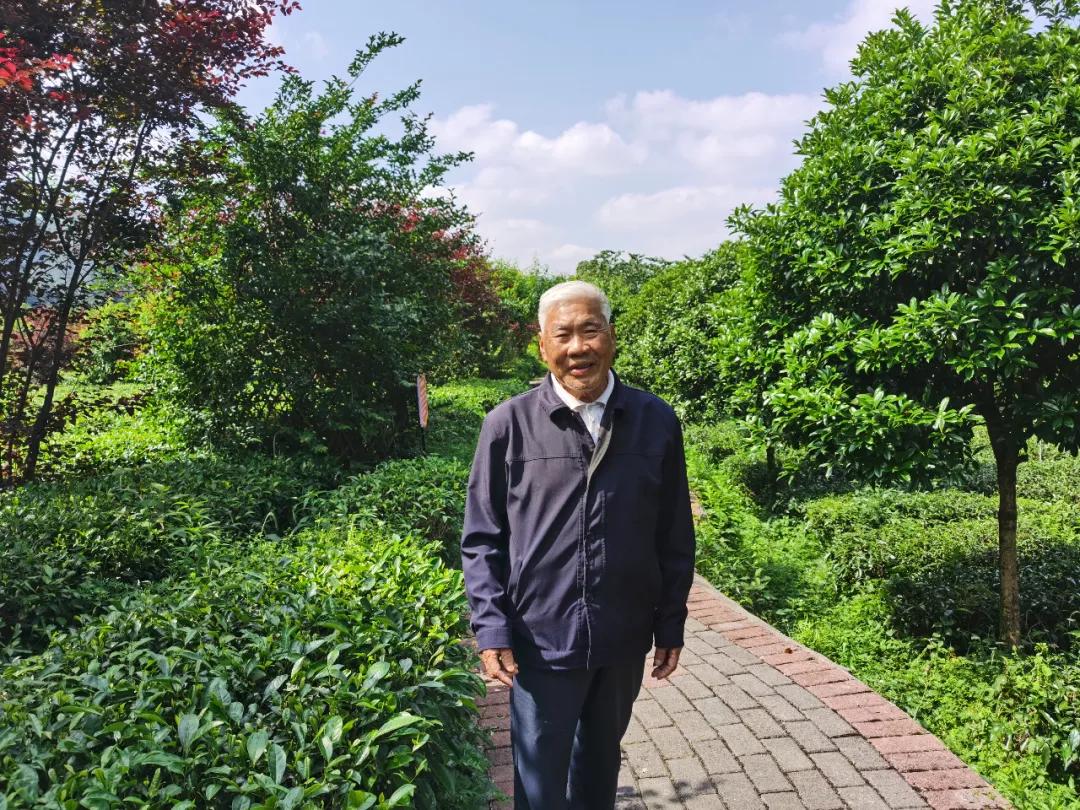 茶园村新人事任命揭晓，开启未来篇章与前景展望