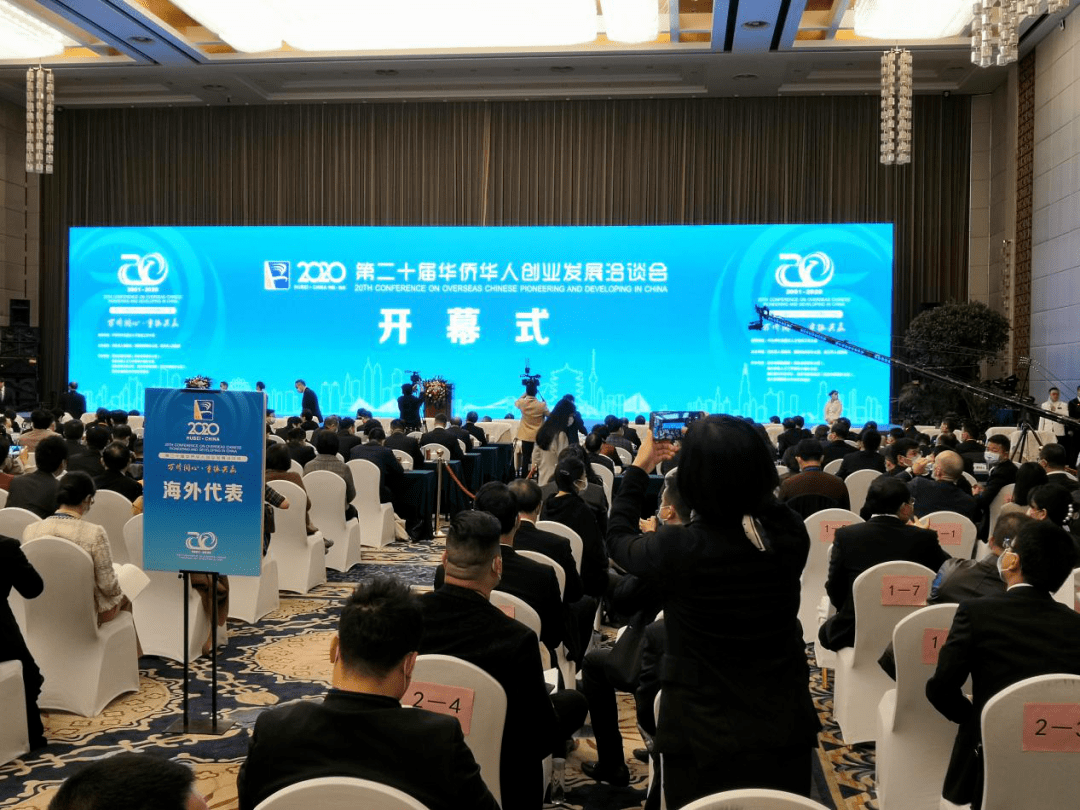 沙市区科技局新项目引领未来科技潮流创新高峰