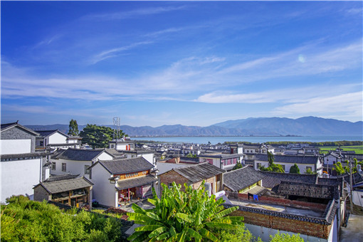 麻山村民委员会最新项目，乡村振兴新动力启航