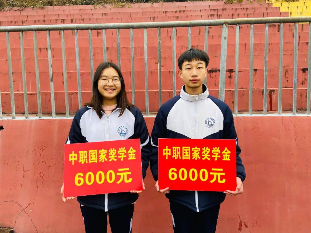 沙县殡葬事业单位最新项目概览，细节揭示与解读