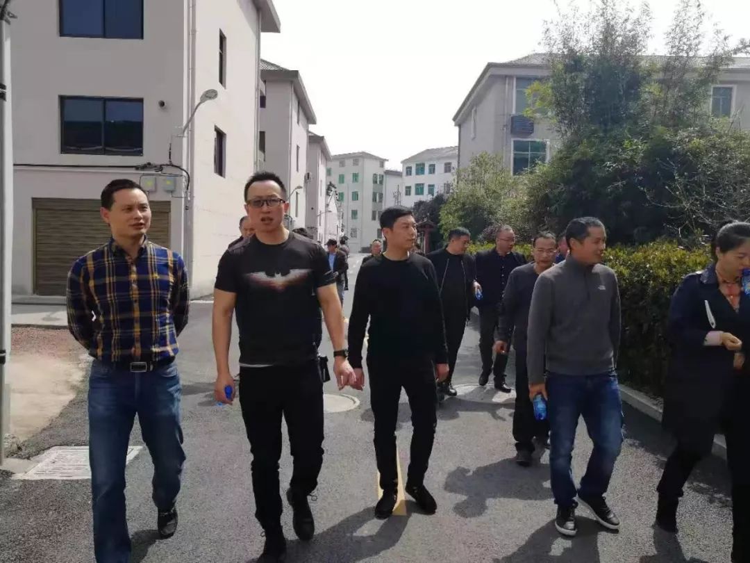 郑宅镇交通升级助力地方发展最新报道