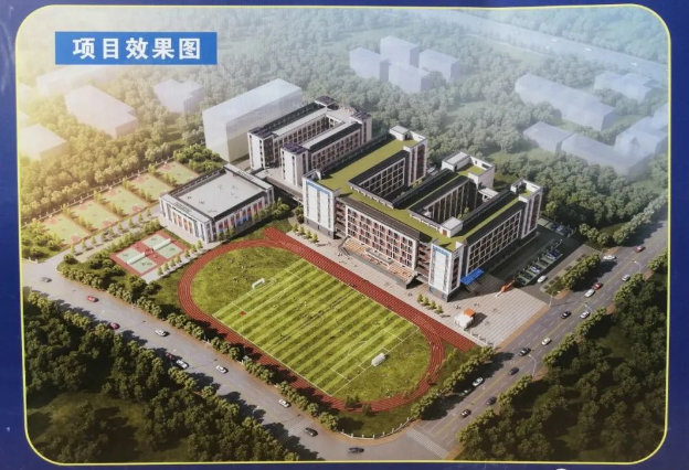 隆安县小学创新项目，引领教育变革，培育未来之星