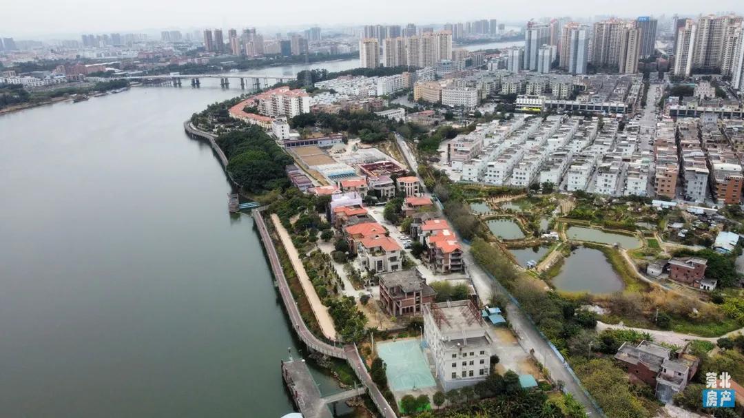 石龙区数据和政务服务局领导团队最新概览