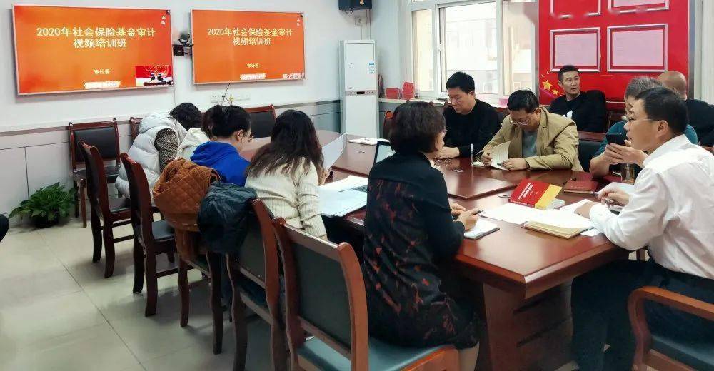 吴桥县审计局最新项目概览及深度解读