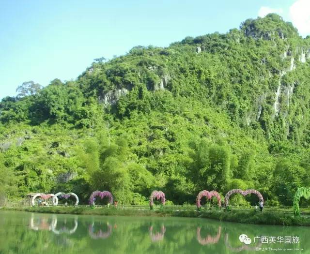 榄圩乡新发展规划引领乡村未来，塑造新面貌