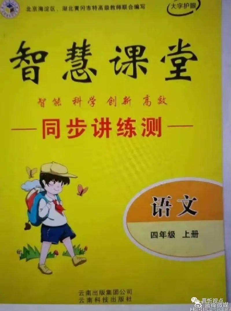 偏关县小学创新项目，引领教育变革，塑造未来之光领袖教育之路