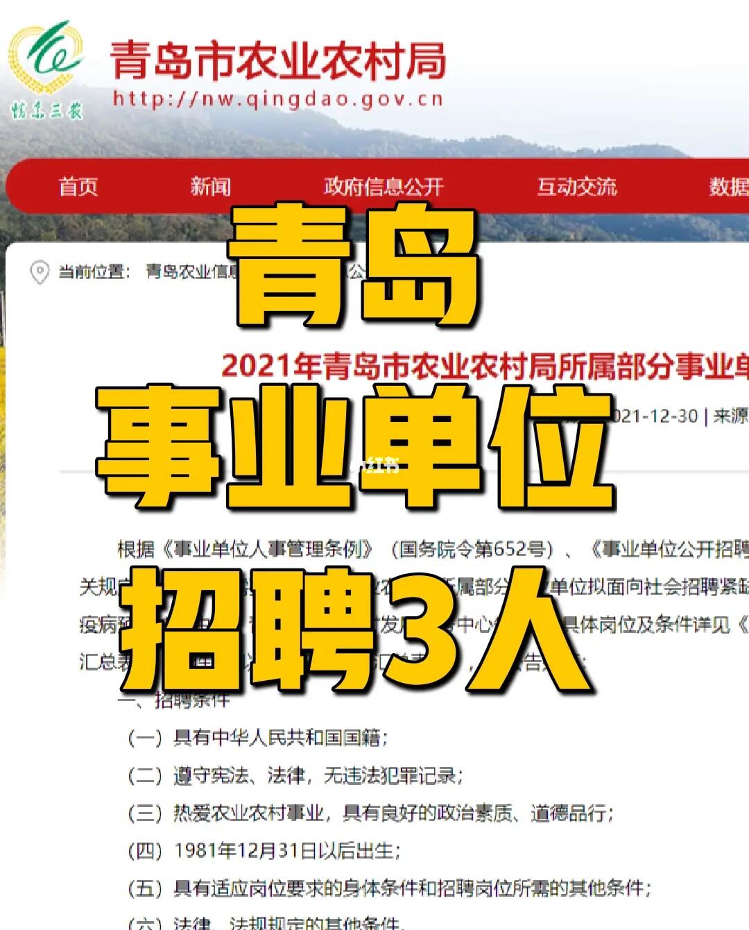 舟曲县农业农村局最新招聘信息详解