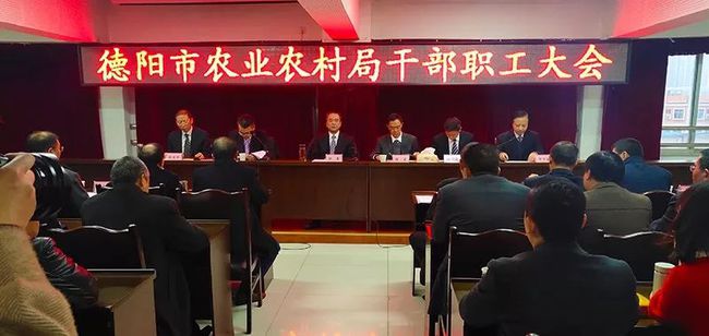平舆县体育局人事大调整，构建新时代体育发展新格局