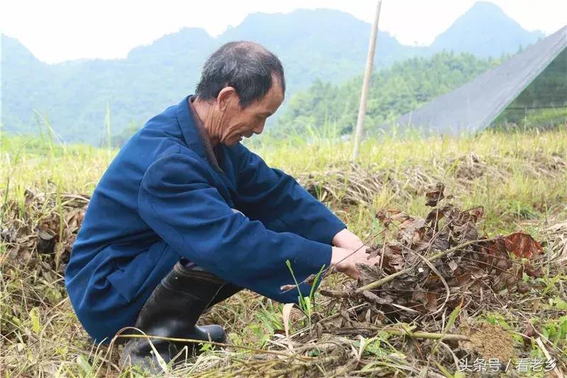万山特区市场监督管理局最新发展规划深度解析
