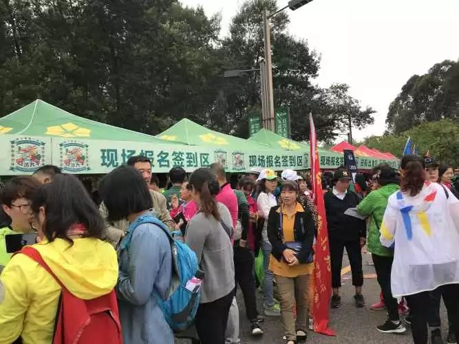 路岭村委会最新招聘信息汇总