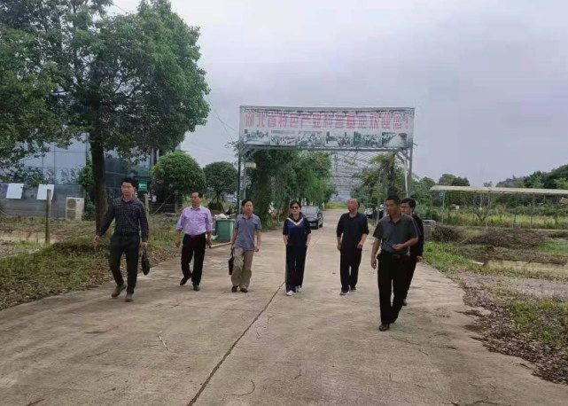 封丘县农业农村局最新新闻综述，农业发展与农村改革动态解析