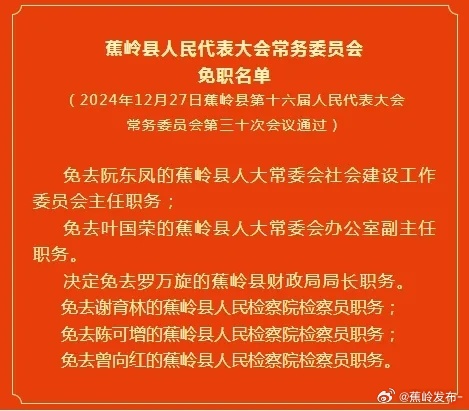 县底镇人事任命动态深度解析