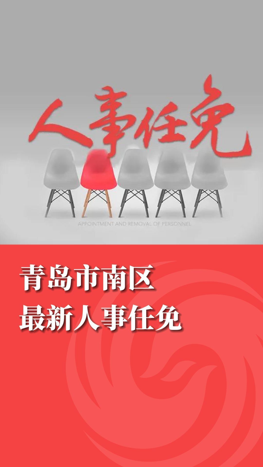 南区新人事任命启航新篇章