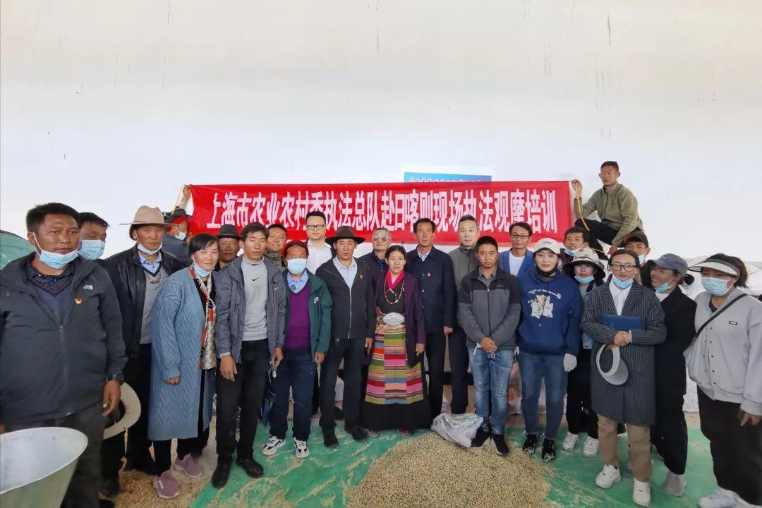 白朗县发展和改革局最新项目概览概览与动态分析