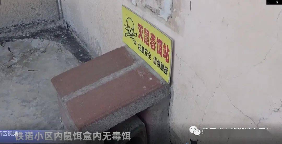 安宁市公路运输管理事业单位最新项目概览与进展