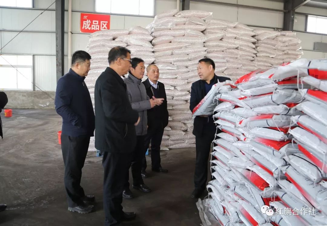 红旗良种厂新领导团队引领企业腾飞至新高度