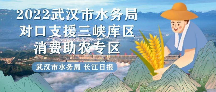 兴山区水利局领导团队全新亮相，工作展望与未来发展方向