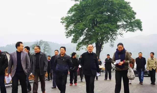 长安营乡乡村振兴新动态与社会变迁综述，最新新闻与发展动态回顾