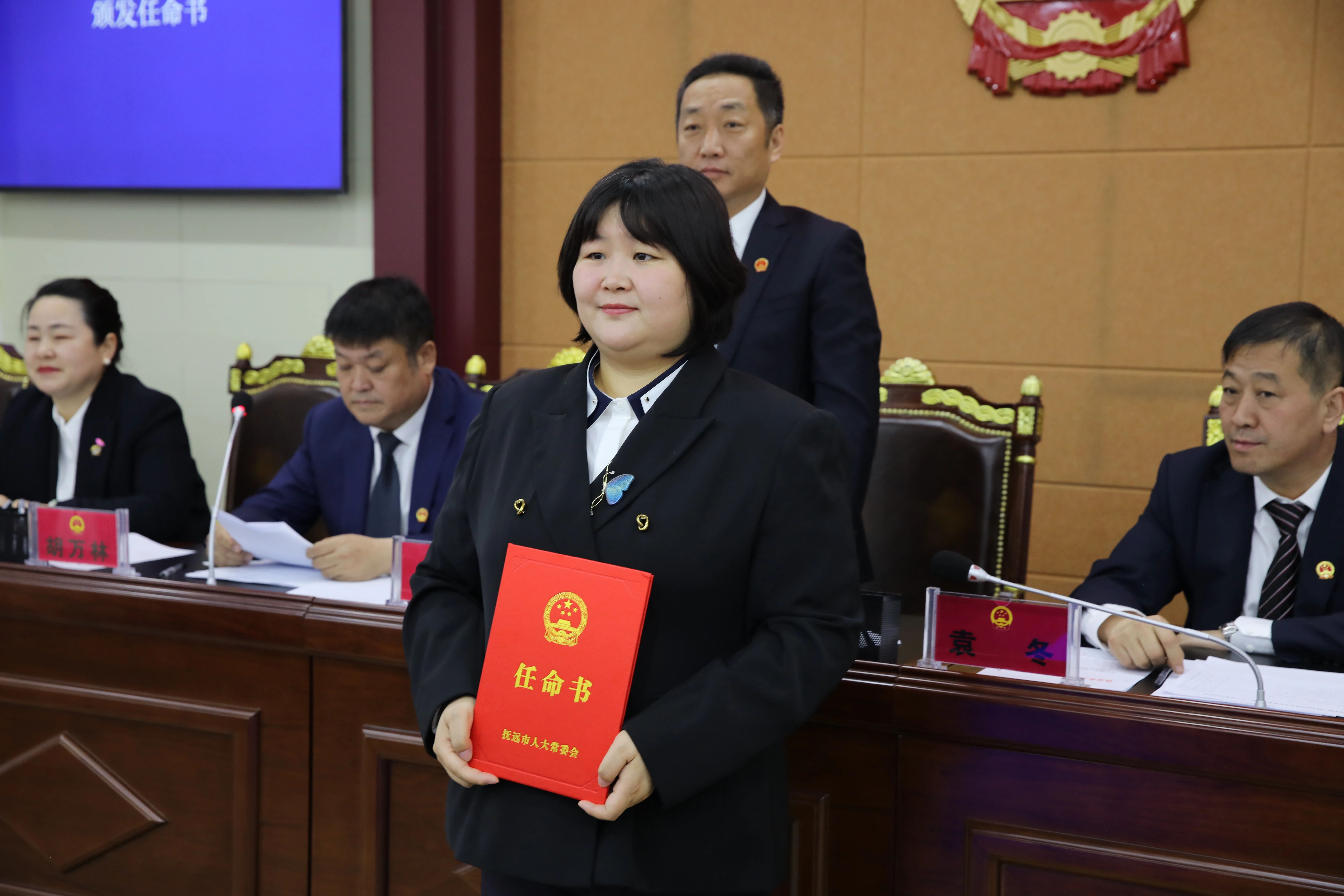 抚远县审计局最新项目深度解读报告