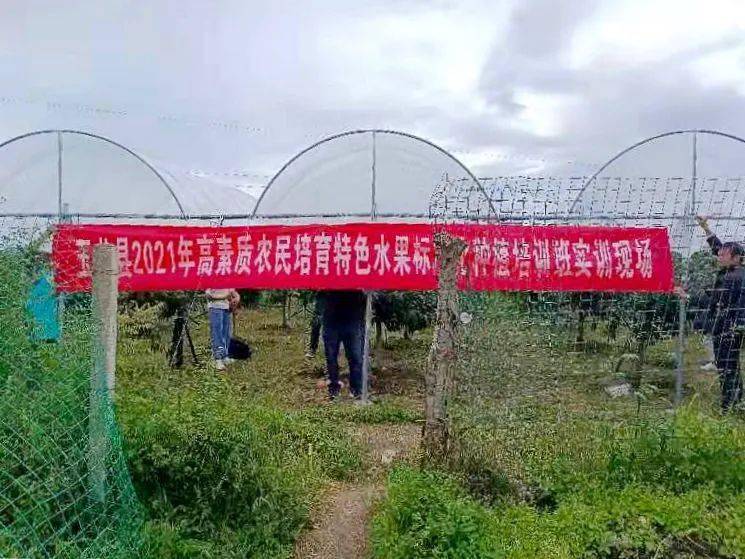 桦南县农业农村局最新招聘信息深度解析