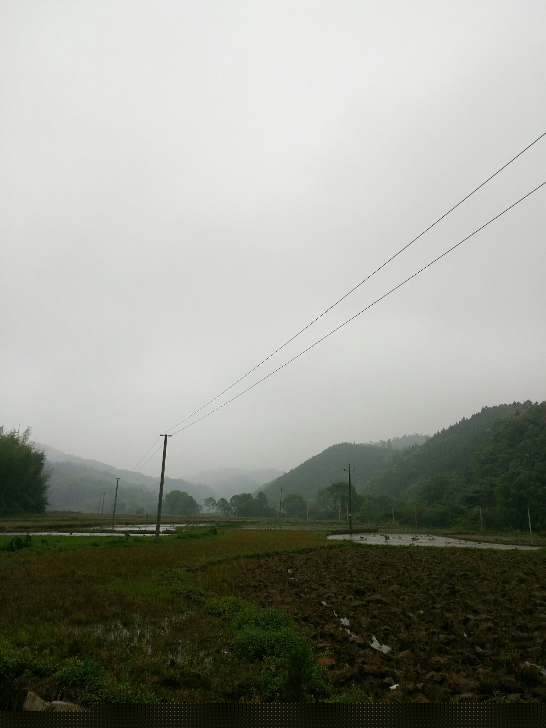 田桥乡天气预报更新通知
