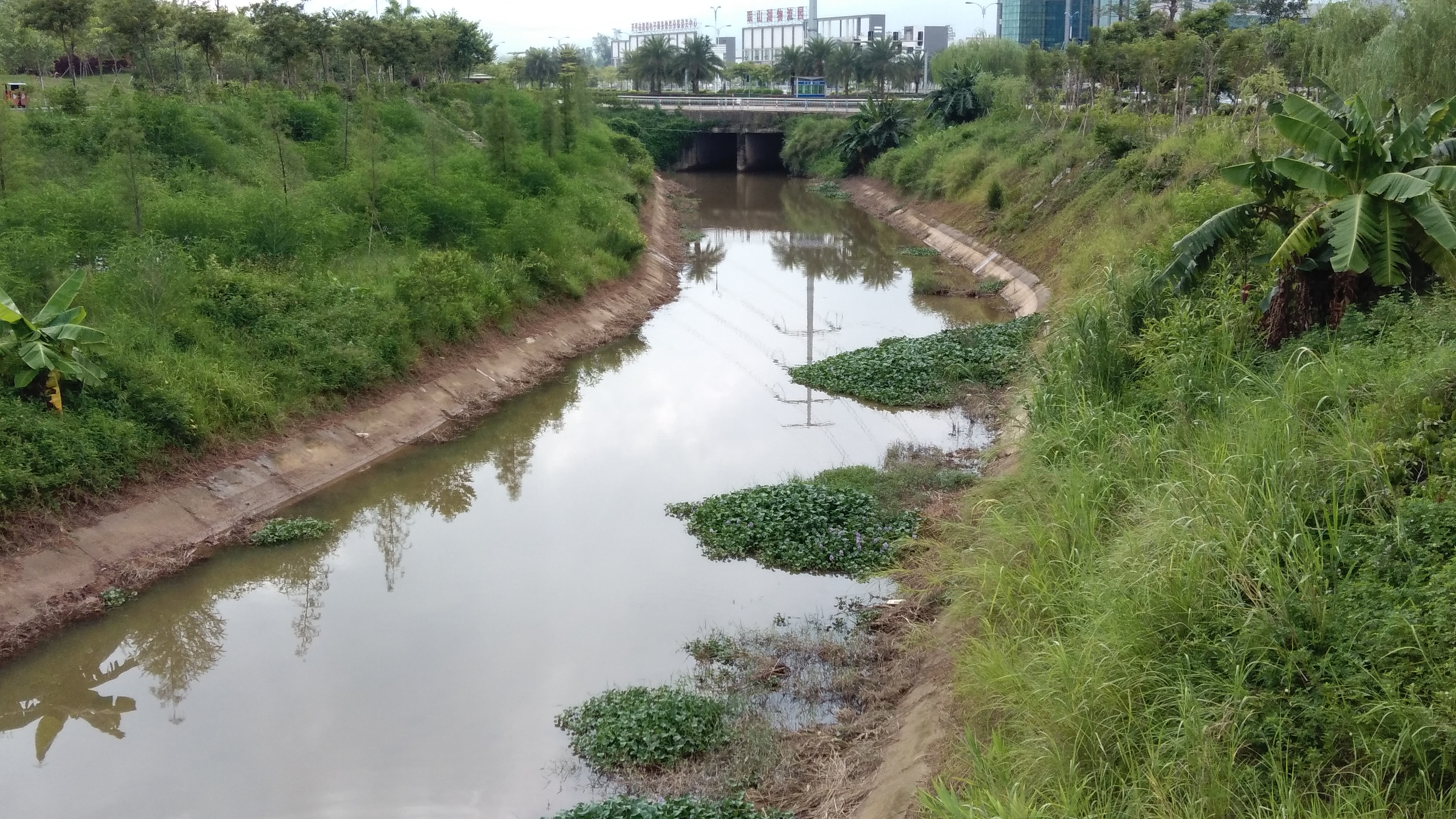 镇海区水利局最新动态报道