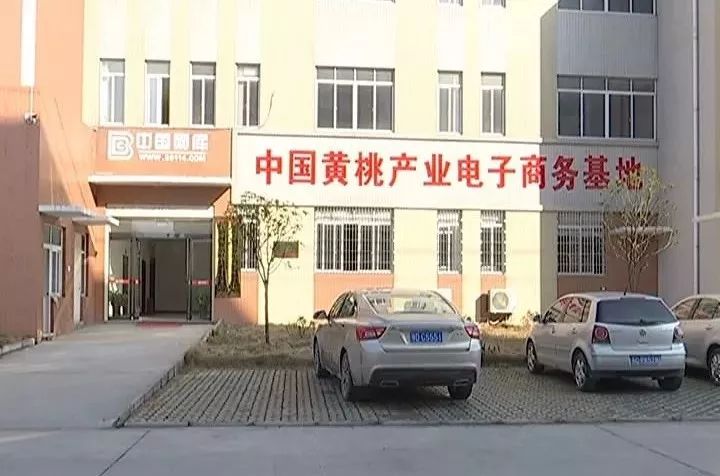 白马寺镇人事任命揭晓，新篇章序幕开启