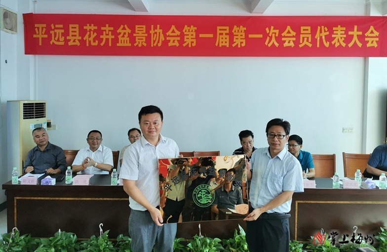 平远县剧团领导团队引领变革，塑造未来新篇章