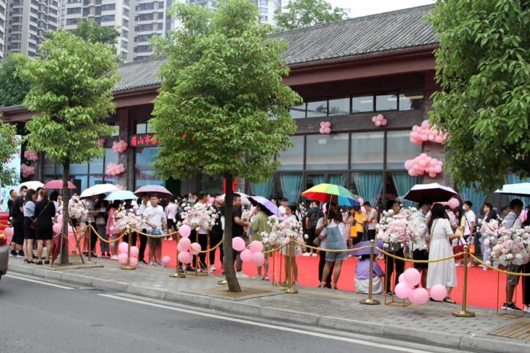 彭山县民政局最新发展规划概览
