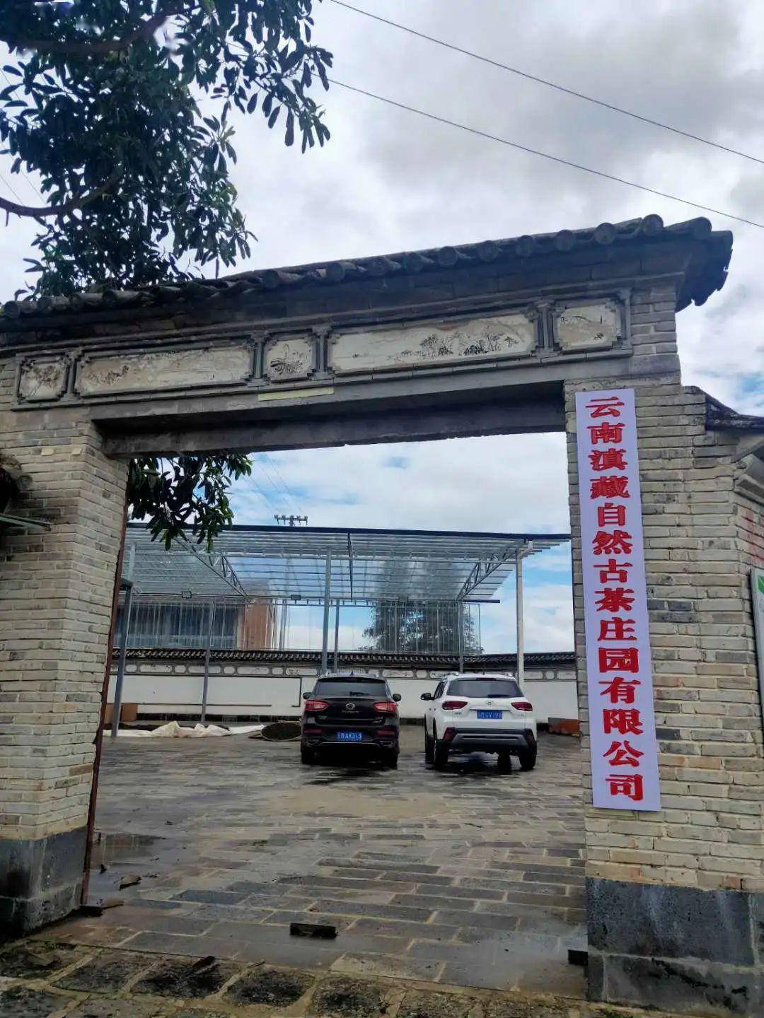 大湾岘村委会新项目启动，乡村振兴新篇章