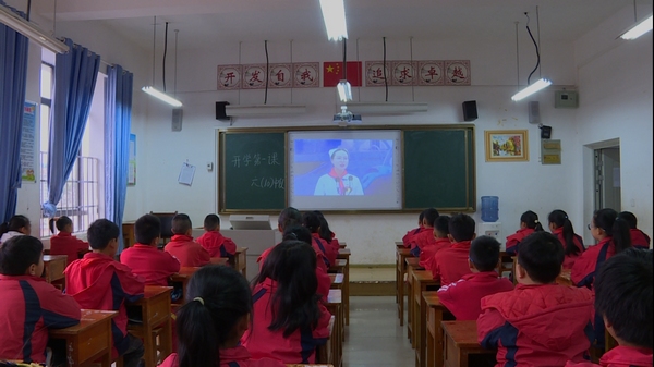 普定县小学最新新闻综述概览