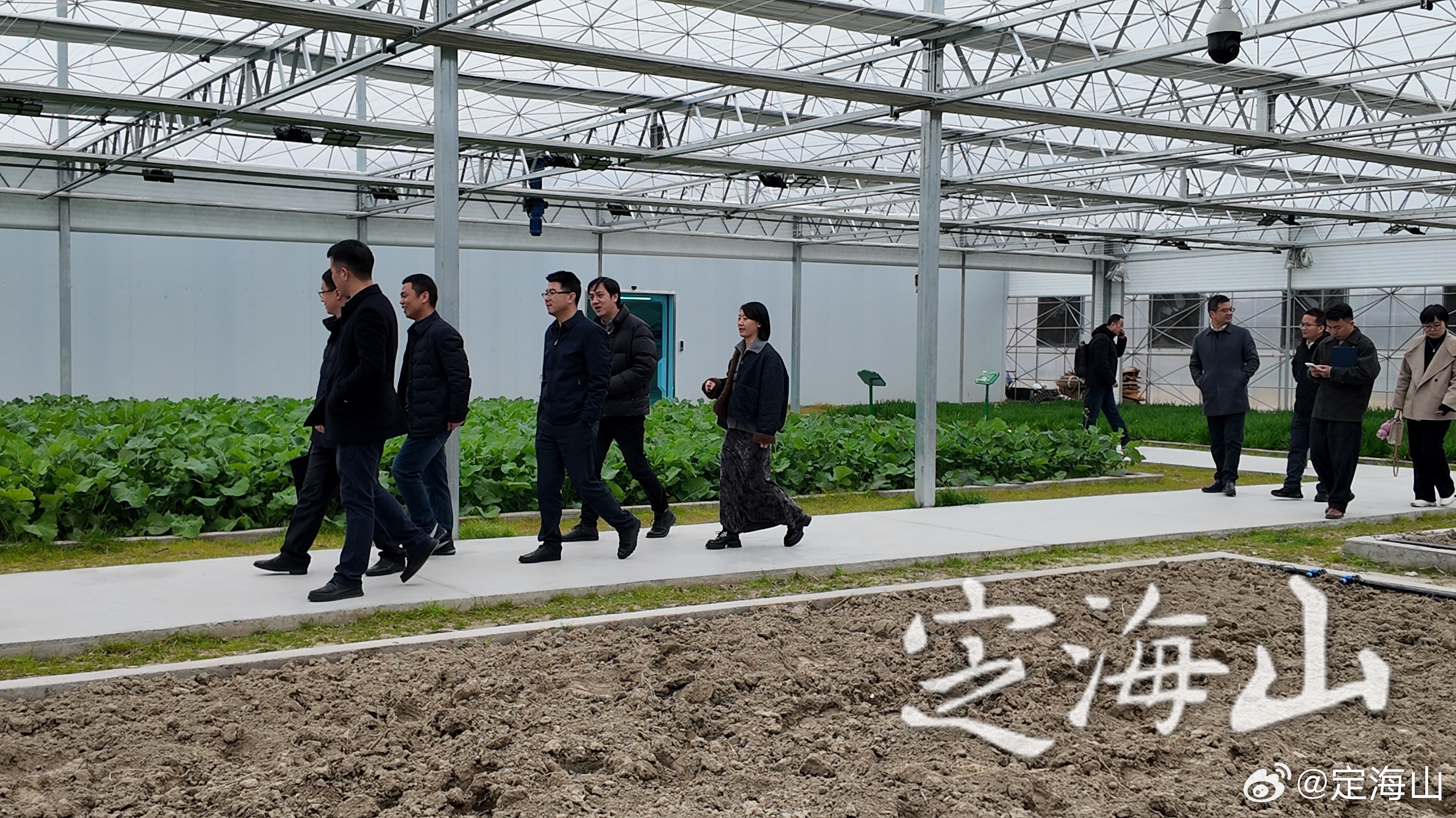 山海关区农业农村局最新新闻动态深度解析