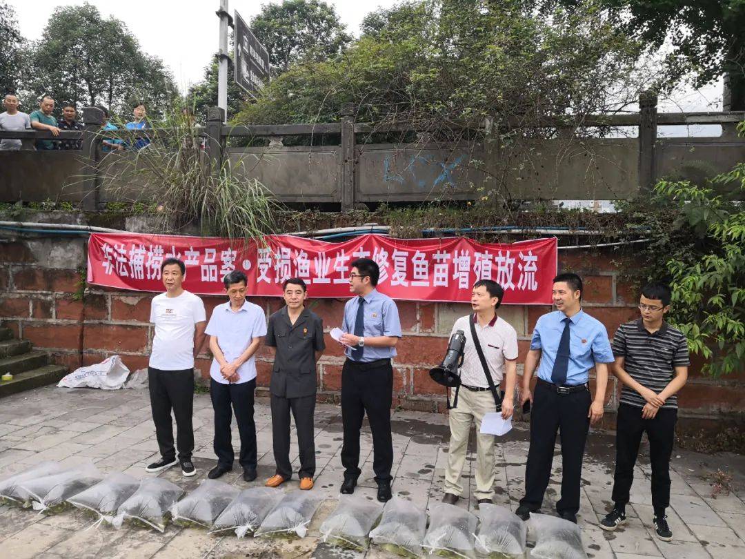 沙湾区农业农村局新项目引领乡村振兴新篇章